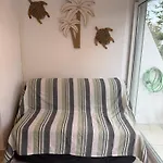 Appartement Grande Motte Rez De Jardin
