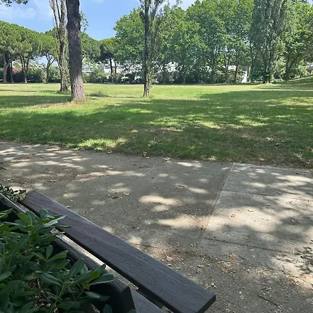 Apartment Grande Motte Rez De Jardin