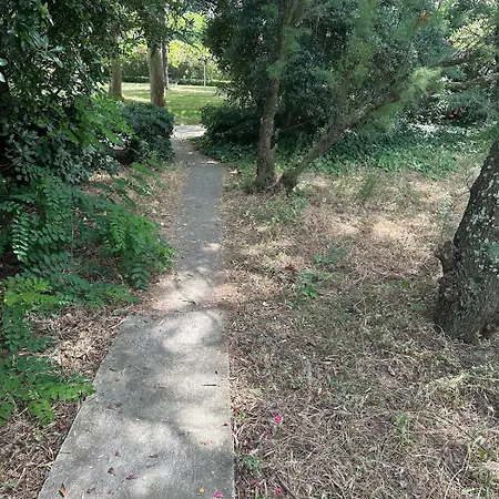 Apartment Grande Motte Rez De Jardin *